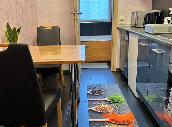 Apartments Plauen 아파트 *